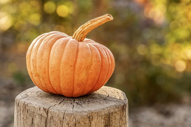Seasonal Menus